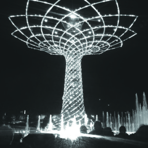 albero della vita expo_ok