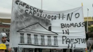 corteo no biomassa