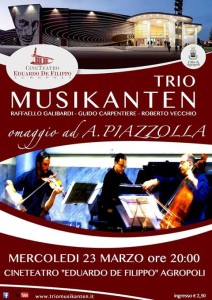 Trio musikanten